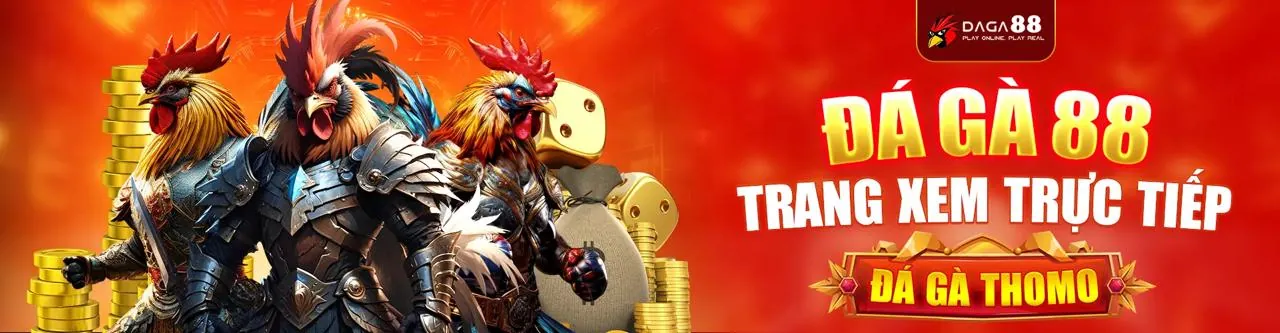 Đá Gà Trực Tuyến Hấp Dẫn tại ball88 trang chủ